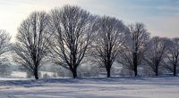 With winter weather here, we want to remind you about how the Burnaby School District shares weather related school closures.  CLICK HERE for more information.