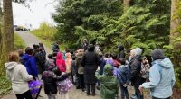 It was a very exciting day for many Glenwood students, staff and parent volunteers as they participated in a chum salmon release at Byrne Creek on April 21st.  The students […]